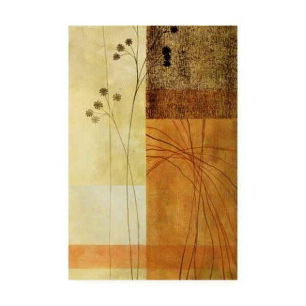 Pablo Esteban 'Brown, Orange Block Right' Canvas Art, 12x19, Trademark Fine Art, Mfr#: ALI45155-C1219GG